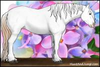 Horse Color:Red Dun Blanket 