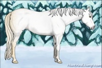 Horse Color:Gray Palomino Dun Frame