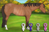 Horse Color:Unknown 