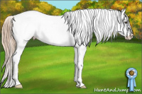 Horse Color:Liver Chestnut Sabino Blanket 