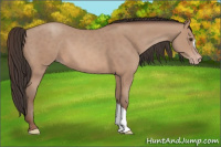 Horse Color:Sable Champagne 