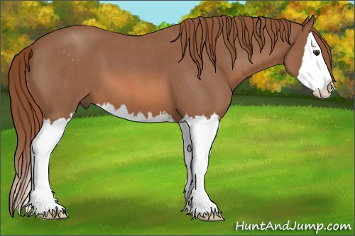 Horse Color: Red Roan Sabino Splash 