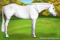Horse Color:Silver Brown Dun Blanket 