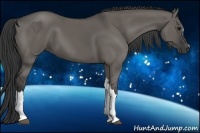 Horse Color:Grullo 