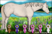 Horse Color:Perlino 