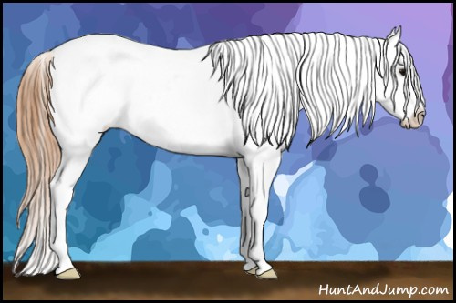 Horse Color: Brown Roan Varnish 