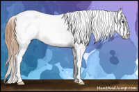 Horse Color:Brown Roan Varnish 