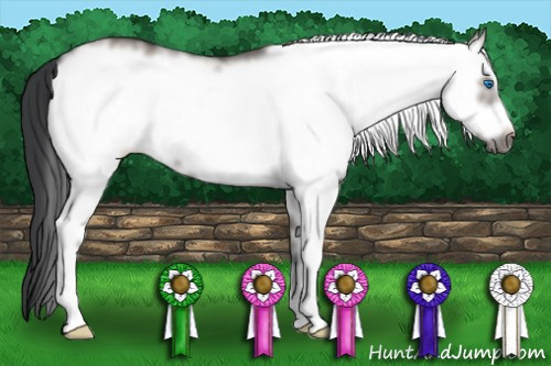 Horse Color: White Spotted Grullo Frame 