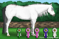 Horse Color:White Spotted Grullo Frame 