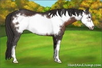 Horse Color:Liver Chestnut Frame 