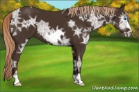 Horse Color:Liver Chestnut Ice Frame 