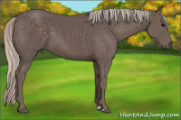 Horse Color:Silver Brown 