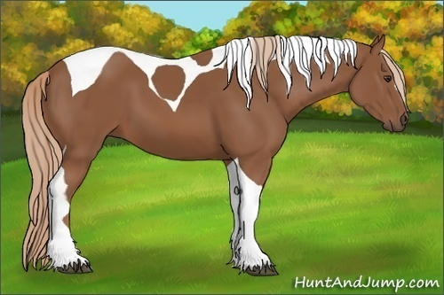 Horse Color: Chestnut Tobiano 