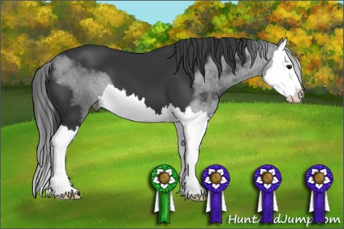 Horse Color: Brown Splash 