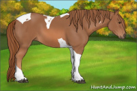 Horse Color:Liver Chestnut Tobiano 