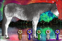 Horse Color:White Spotted Buckskin