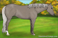 Horse Color:Silver Smoky Grullo