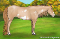 Horse Color:White Spotted Chestnut Pearl Frame