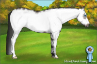 Horse Color:Gray White Spotted Bay Frame 