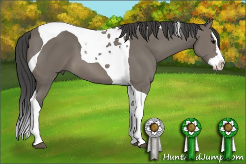 Horse Color: Brown Splash Tobiano 