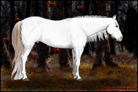 Horse Color:Brown Roan Tobiano Blanket 