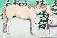 Horse Color:White Spotted Perlino 