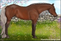 Horse Color:Silver Bay 