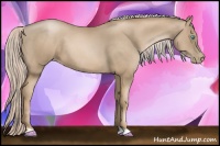Horse Color:Chocolate Palomino Pearl