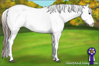 Horse Color:Bay Roan Leopard 