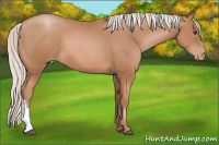 Horse Color:Silver Bay Pearl