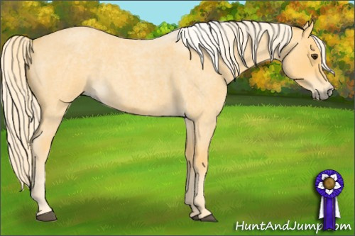 Horse Color: Palomino Roan 