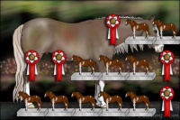 Horse Color:Silver Black Sabino