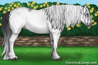 Horse Color:White Spotted Black Splash Frame 