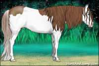 Horse Color:Chestnut Splash 