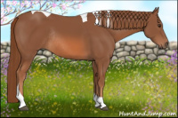 Horse Color:Chestnut Tobiano Rabicano