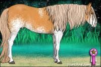 Horse Color:White Spotted Chocolate Palomino Rabicano