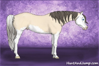 Horse Color:Amber Cream Champagne Dun Splash 