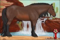 Horse Color:Bay Sabino 