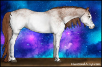 Horse Color:White Spotted Chestnut 