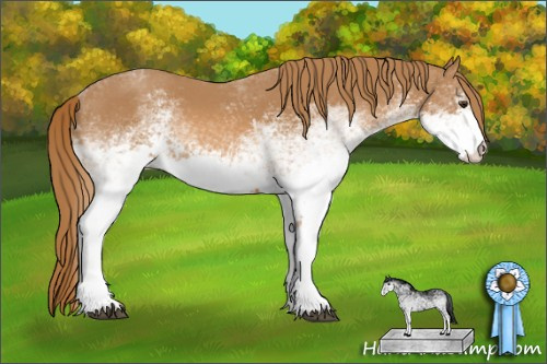 Horse Color: White Spotted Chestnut 