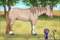 Horse Color:Liver Red Dun Splash Tobiano 