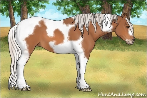 Horse Color: Silver Bay Tobiano Frame 