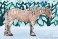 Horse Color:Silver Bay Ice Roan Frame 