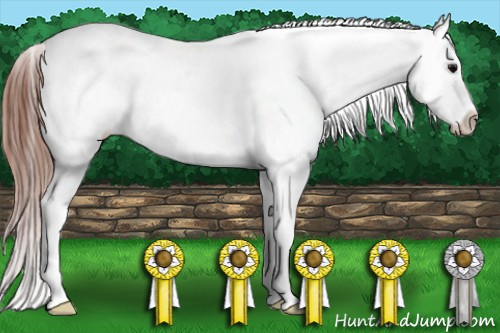 Horse Color: Black Blanket 