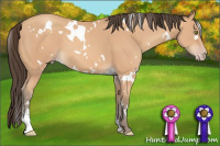 Horse Color:White Spotted Amber Champagne Sabino