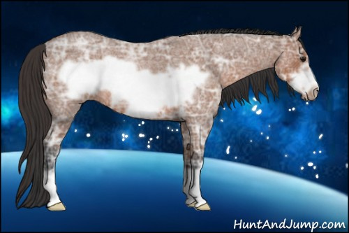 Horse Color: Bay Ice Roan Frame 