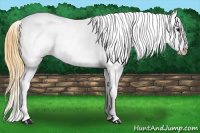 Horse Color:White Spotted Smoky Grullo Varnish 