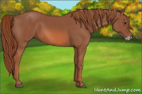 Horse Color:Chestnut Frame 