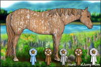 Horse Color:Bay Frame Appaloosa Rabicano  Brindle