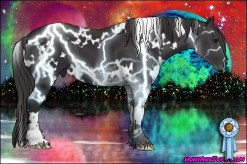 Horse Color: White Spotted Smoky Black Sabino 